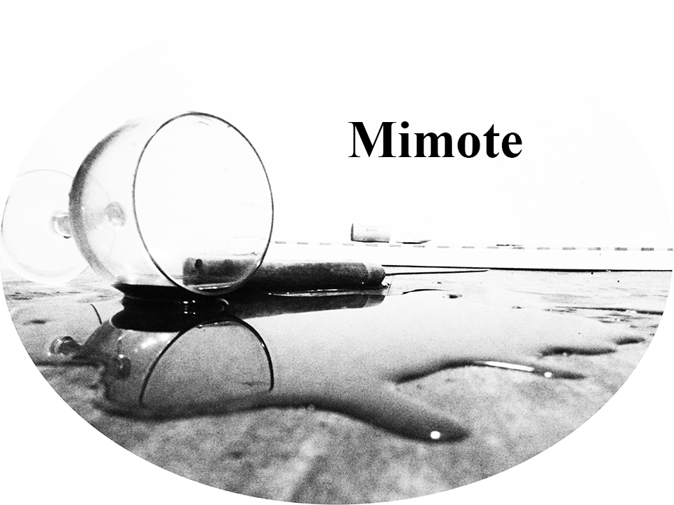 18 – Mimote